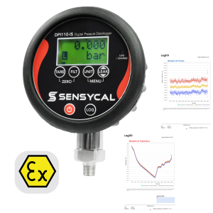 DPI110-IS - 01r05 - Relatorios Ex - 2000x2000px - Transparente